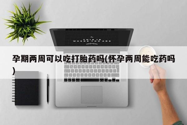 推荐个卖堕胎药的微信孕期两周可以吃打胎药吗(怀孕两周能吃药吗)