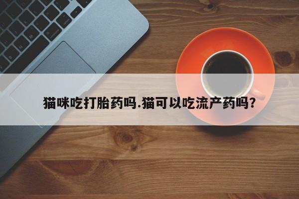 推荐个卖堕胎药的微信猫咪吃打胎药吗.猫可以吃流产药吗？