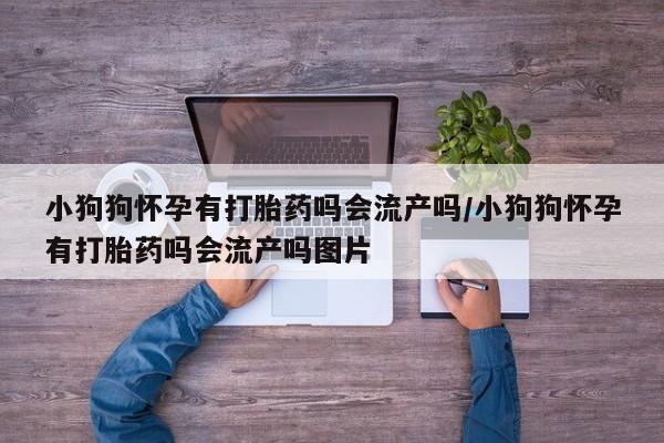 推荐个卖堕胎药的微信小狗狗怀孕有打胎药吗会流产吗/小狗狗怀孕有打胎药吗会流产吗图片