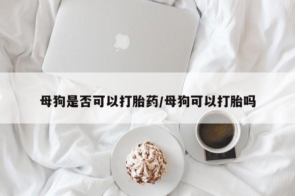 推荐个卖堕胎药的微信母狗是否可以打胎药/母狗可以打胎吗